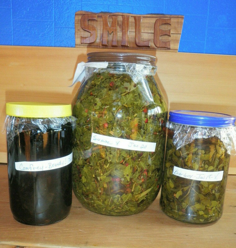 Lung Tincture Opens Airways, Expels Phlegm, Clears Infections FAST: Breathe Eas gallery