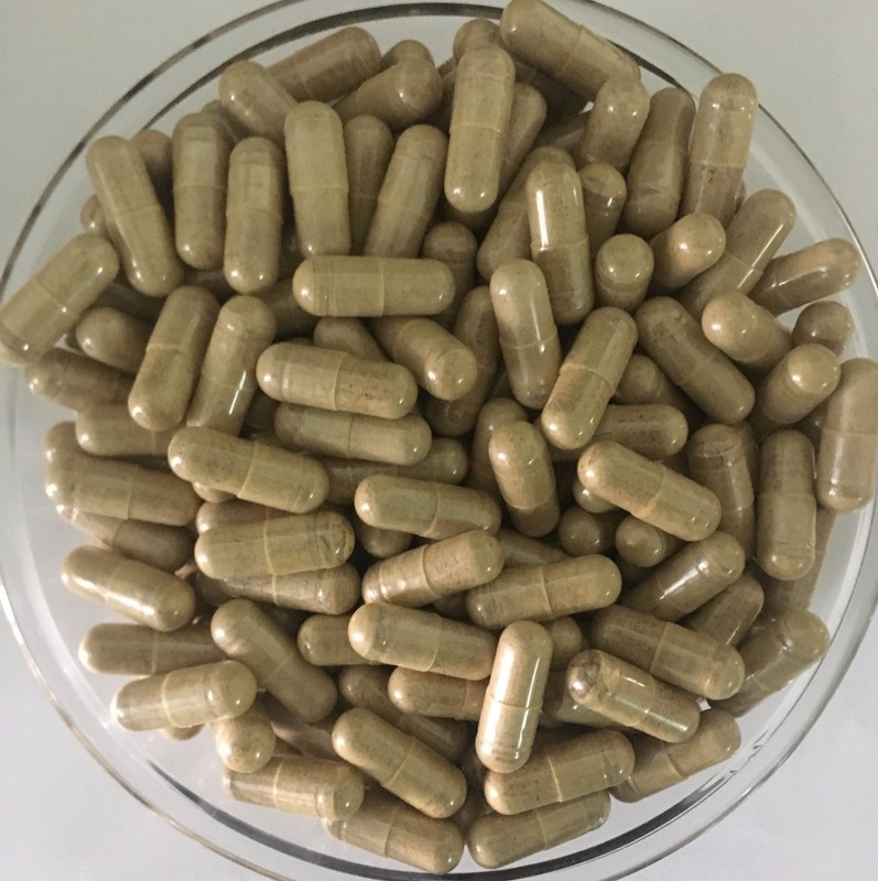 Rosehip Extract 20:1 Capsules Pure & High Quality