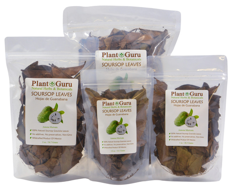 Dried Soursop Leaves – Natural Graviola Soursop Tea Leaves, Hojas de Guanabana