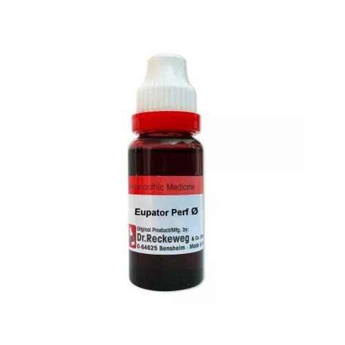 Dr. Reckeweg Germany Homeopathy Eupatorium Perfoliat 1X Mother Tincture Q (20ml)