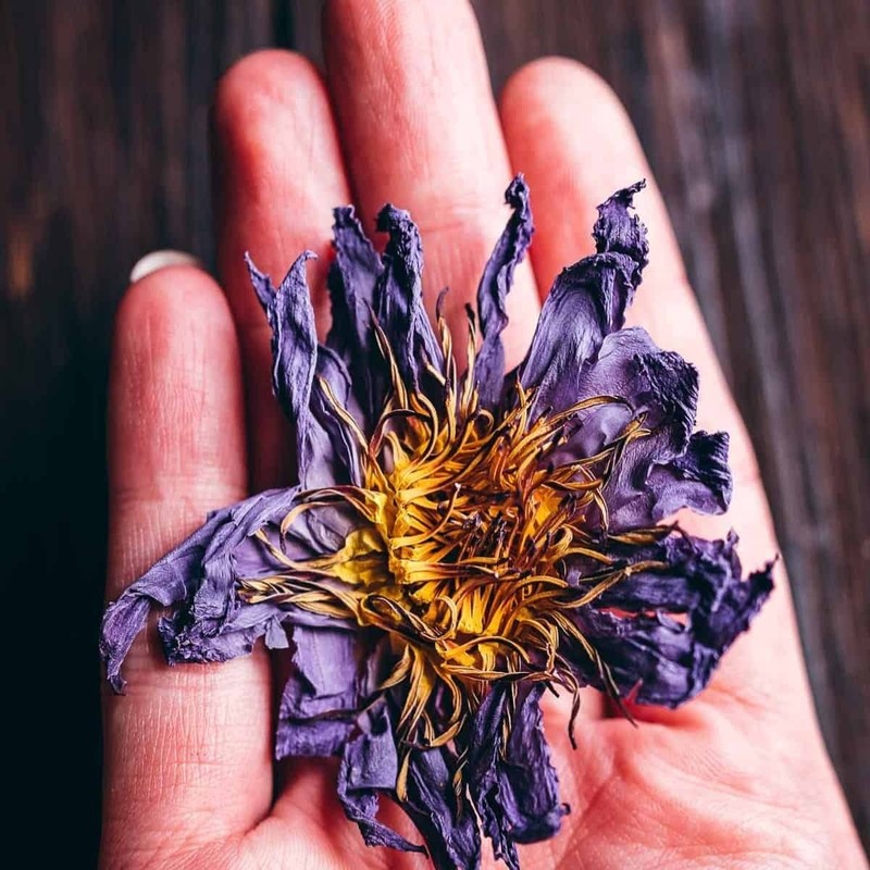 25g/50g BLUE LOTUS Hand Picked Dried Flower 100% Organic Ceylon