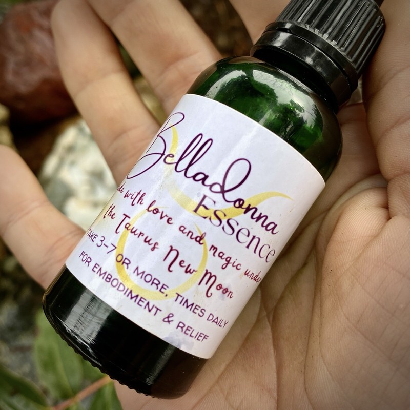 Belladonna Amethyst Flower Essence Embodiment Fear & Angry Looping Lions Gate ♌️ gallery