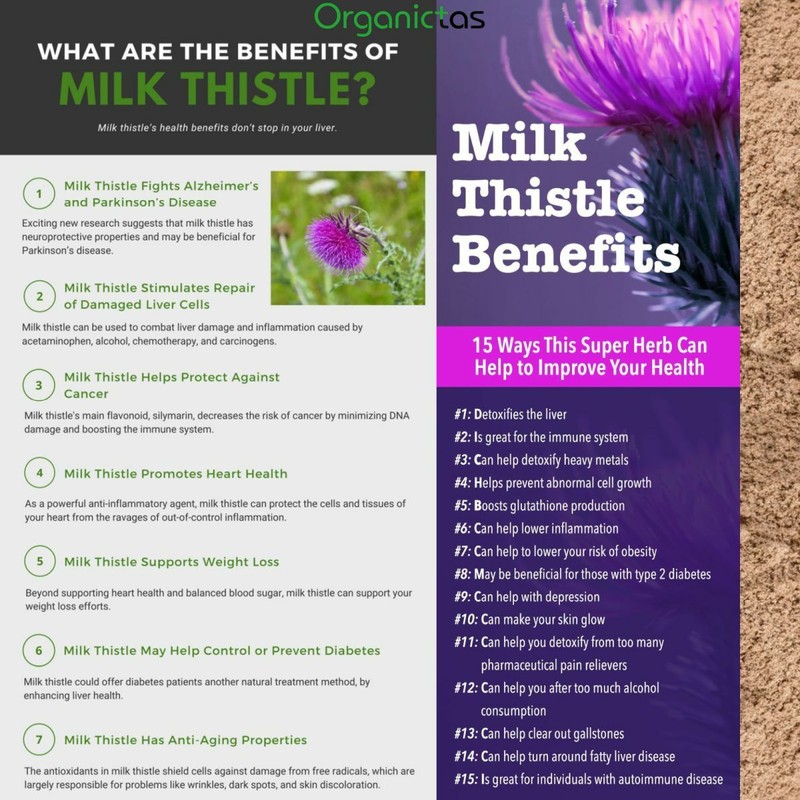 Organic Milk Thistle Seed Powder Natural Antioxidant Silybum Marianum gallery
