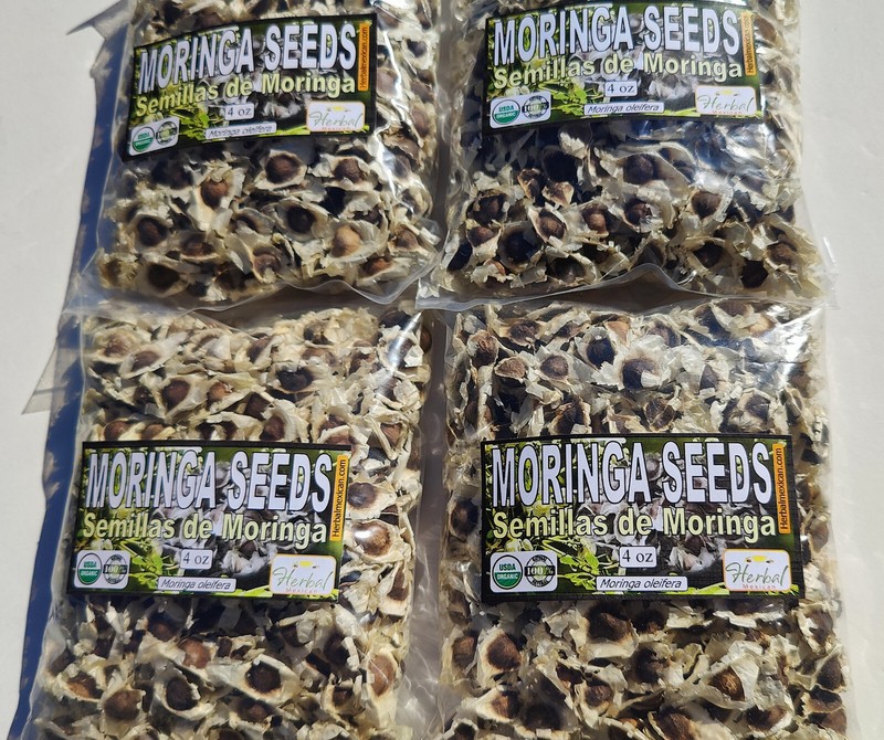 Semillas de Moringa, Moringa Seeds, Moringa oleifera Seeds, Organic moringa Seed gallery