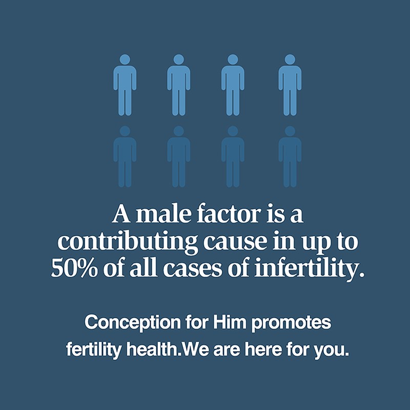 120pcs Men's Fertility Support - Male Fertility Support,Reproductive Health gallery