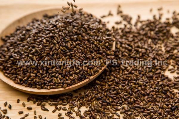 1 LB Cassia Seeds for Diet Tea 决明子 Jue Ming Zi – Té De Dieta – US Free Shipping!