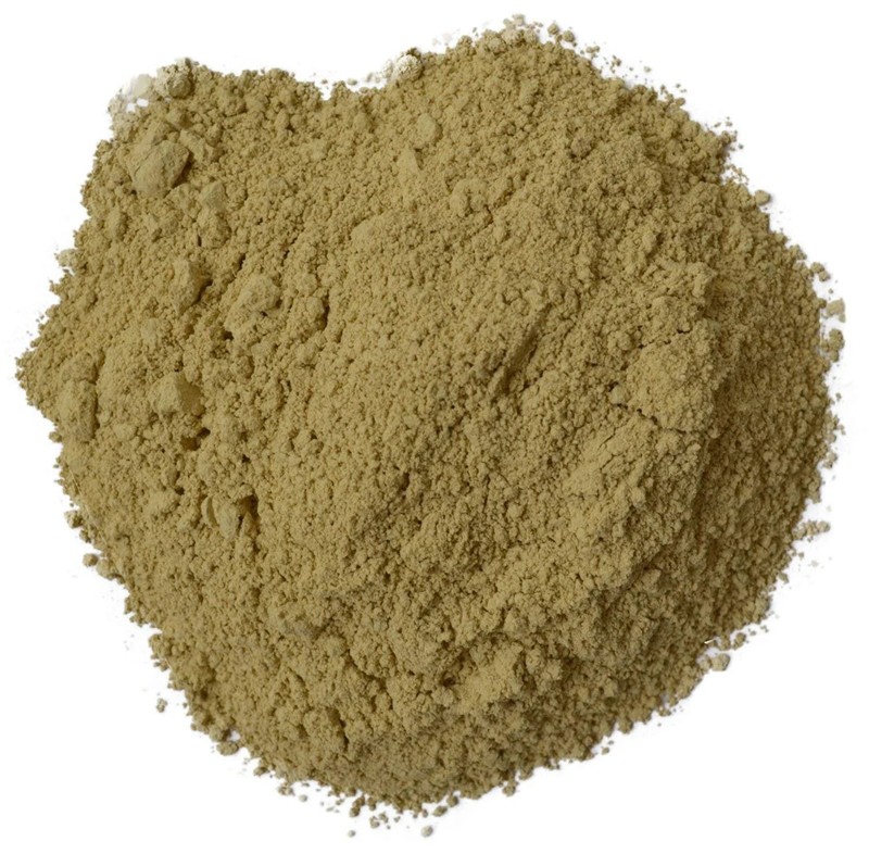Bhumi Amla Bhumi Amlaki Phyllanthus Niruri Powder 100gm (3.5 OZ)`