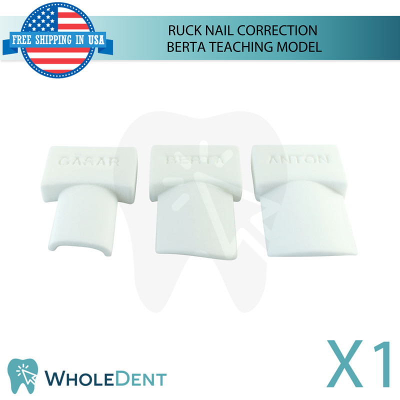 Ruck Nail Correction Berta Teaching Model Beginner Level Training Object