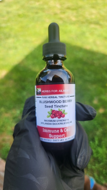 Blushwood Berry EBC46 Tincture/Immune Support/Oral/Topical/from US seller gallery