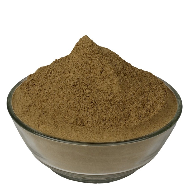 Bhumi Amla Powder – Bhoomi Powder- Phyllanthus Niruri – Fillanto Niruhi 100 Gram