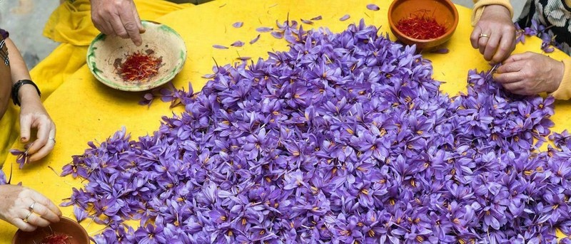 40 Box- 250mg Original Premium Saffron Untreated Uncolored Baby Brand FREE SHIP* gallery