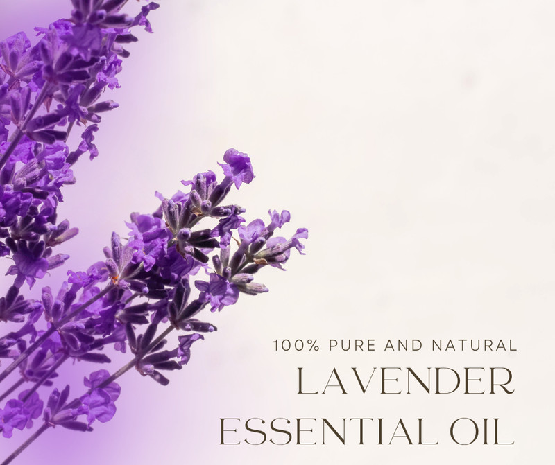 32 fl oz Lavender 40/42 Essential Oil (100% Pure & Natural) in Aluminum Bottle gallery