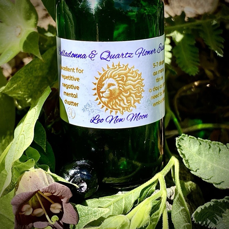 Belladonna Amethyst Flower Essence Embodiment Fear & Angry Looping Lions Gate ♌️ gallery