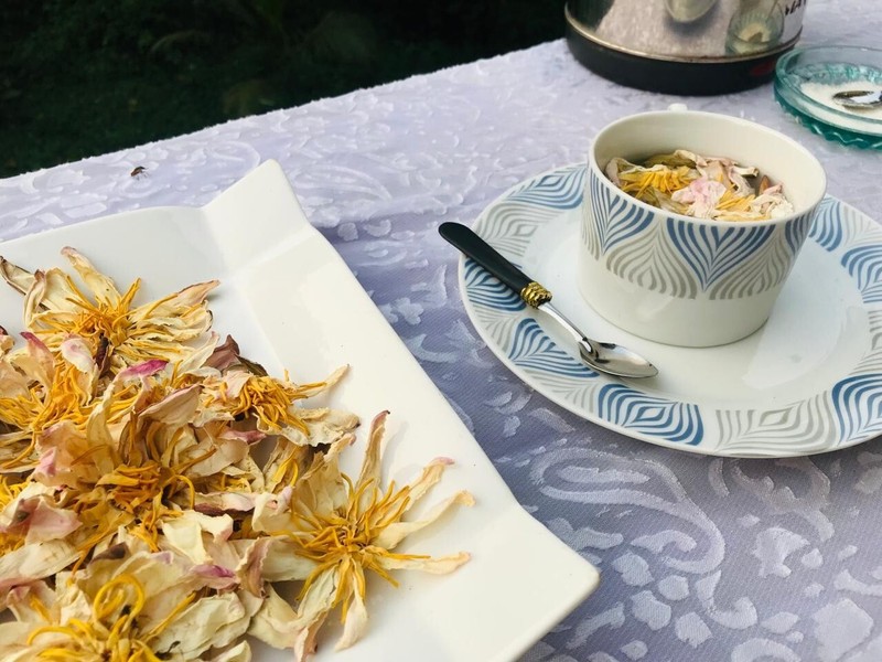 Dried Nymphaea Ampla White Lotus Natural For Skin and Hair Loss Ceylon Tea