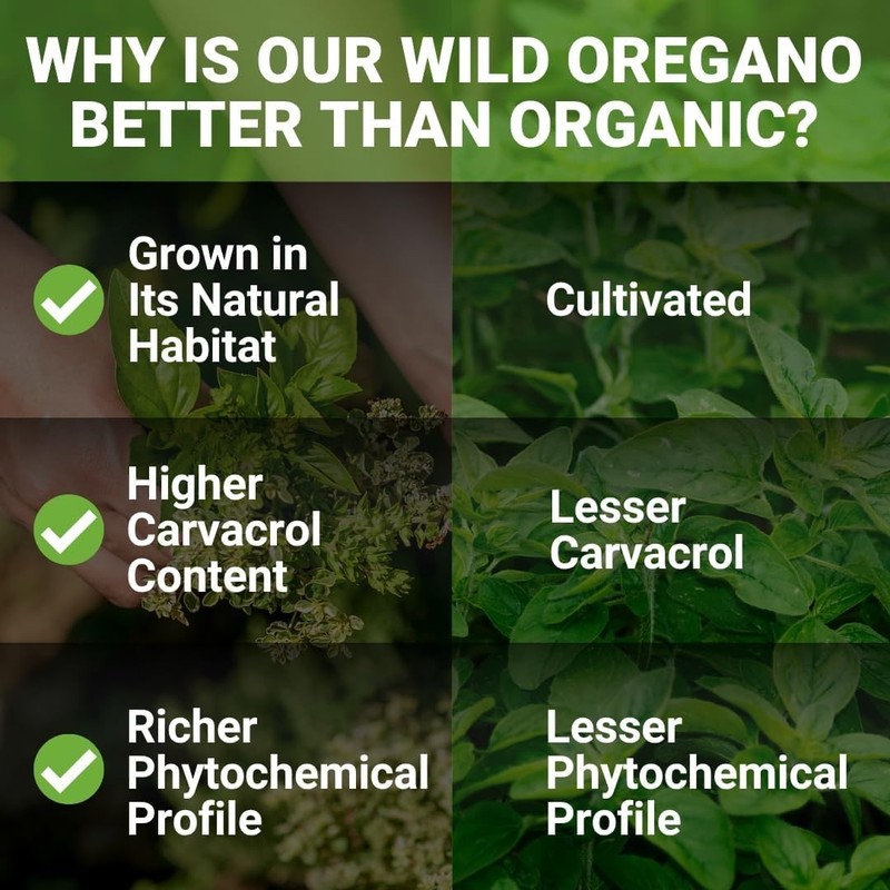 New Roots | Wild Oregano Oil Drops, C93 | 93% Carvacrol 1 Fl Oz (Pack of 1) gallery