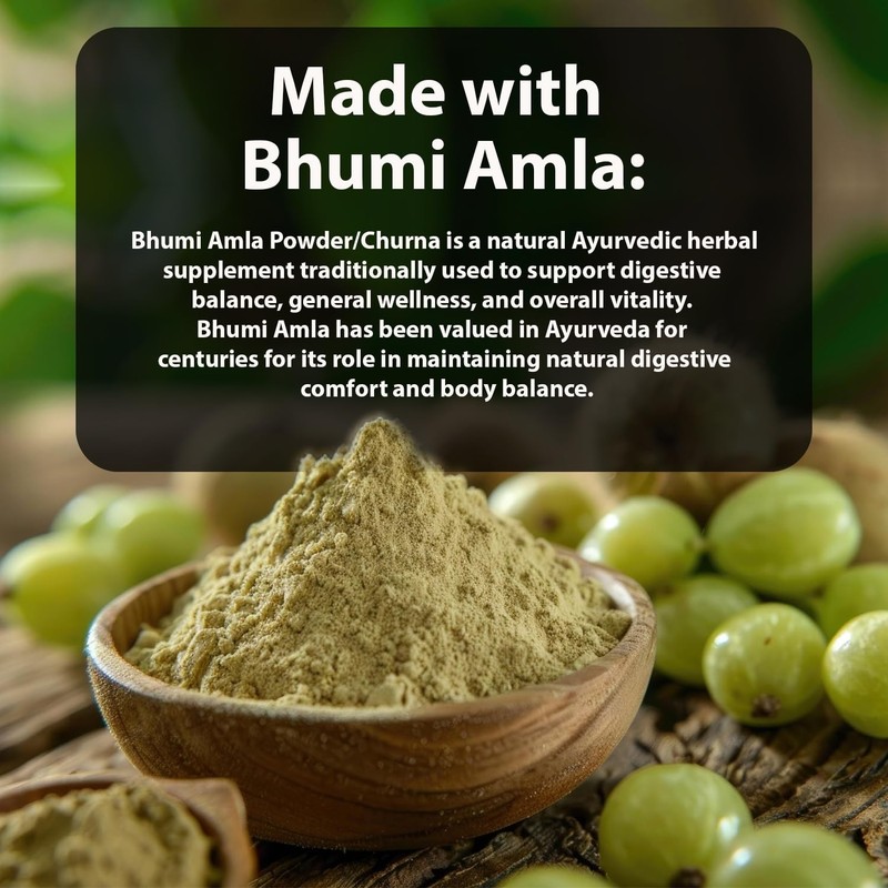 Vedikroots Bhumi Amla Powder helps in digestion system 100 grams free shipping gallery