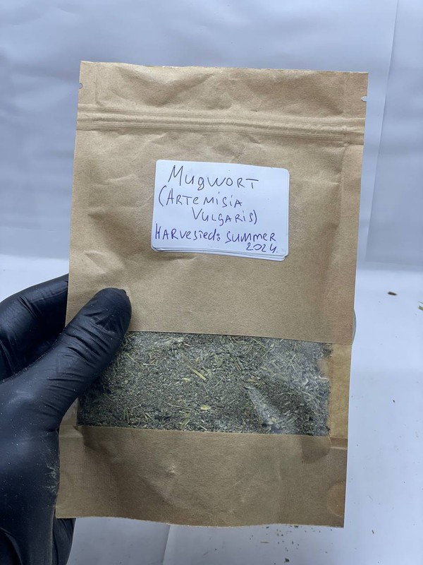 Mugwort Dried Cut ( Artemisia Vulgaris ) ORGANIC from Carpathian mountain UA gallery