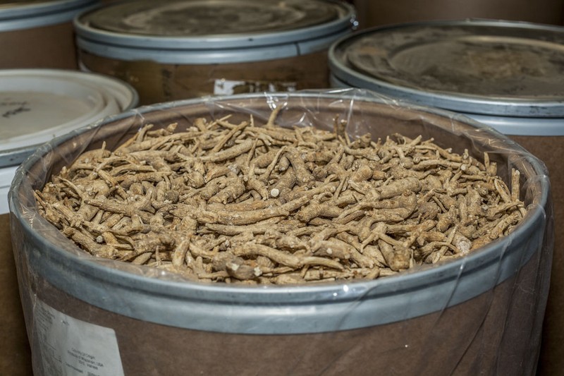 4oz 8oz 1LB Premium American Ginseng Wholesale Price 美国威州花旗参 eBay批发-NYC Seller