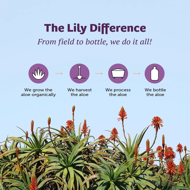Lily of the Desert Aloe Vera Gel Whole Leaf (Filtered) 128 fl.oz Each (Pack of 3 gallery