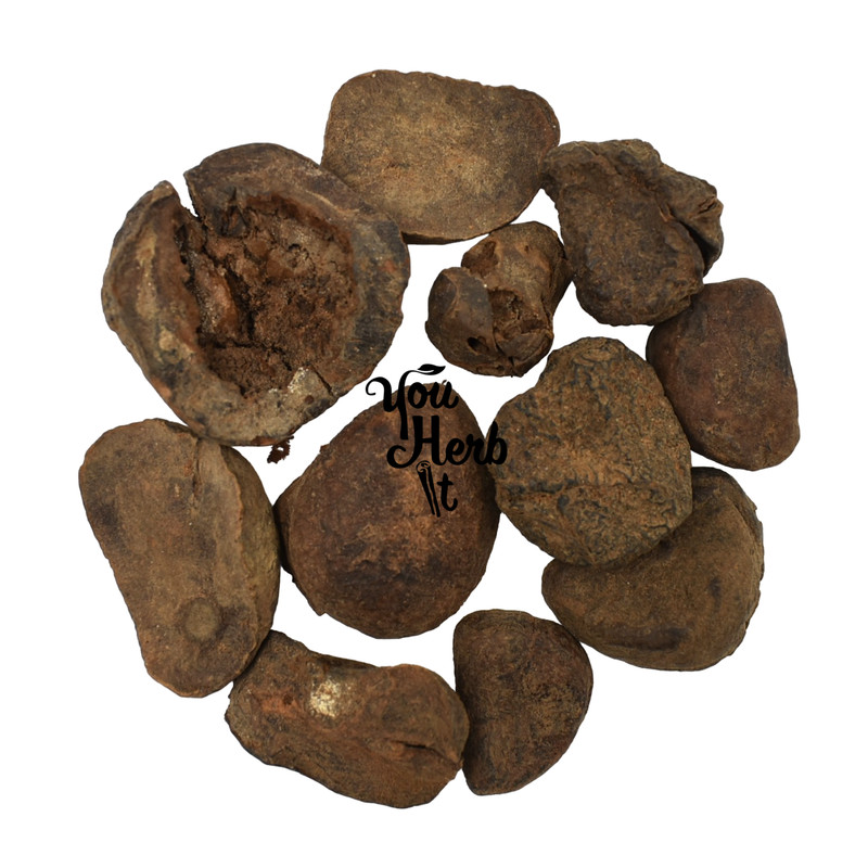 Dried Kola Nut Halves Cola Nut 25g-200g – Cola Nitida