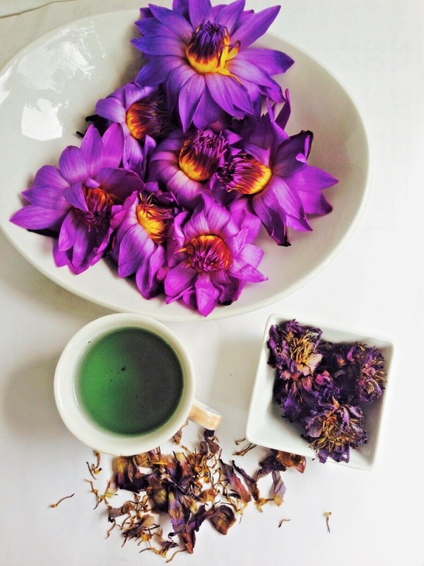 BLUE LOTUS Nymphaea Caerulea Hand Picked Dried Flower 100%Natural Organic ceylon