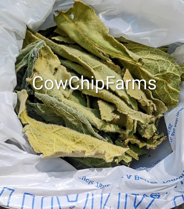 Wild Harvest Dried Mullein Leaf Herb 2026 1 oz. East Tennessee – Tea – Smoke