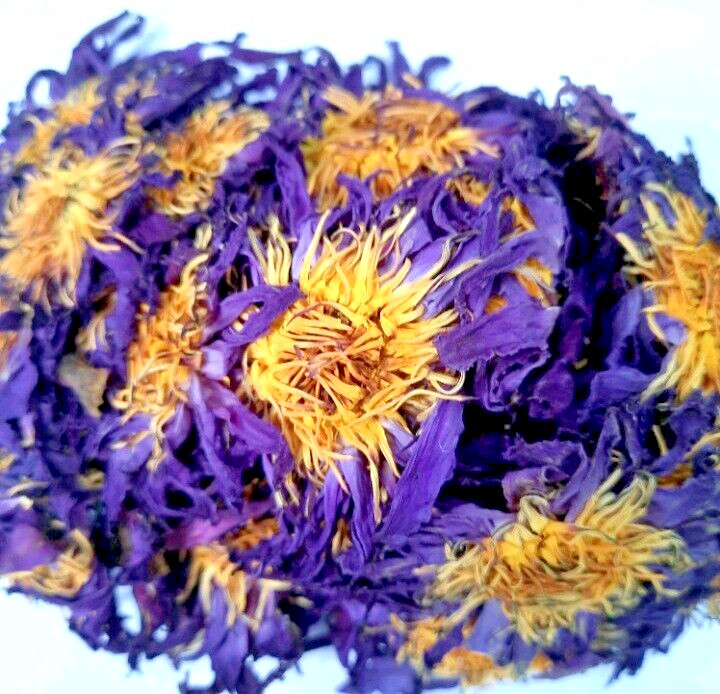 Dried Blue Lotus Flower Nymphaea Caerulea Natural Hand Picked Flower Herbal Tea* gallery