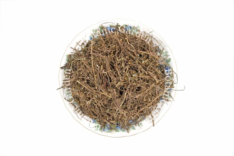 Botanic Garden Raw Bhumi Amla Or Phyllanthus Niruri 100% Pure Organic Herb gallery