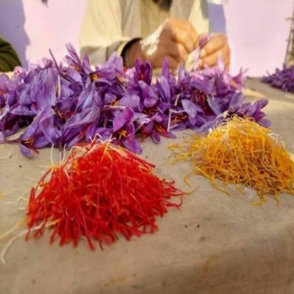 40 Box- 250mg Original Premium Saffron Untreated Uncolored Baby Brand FREE SHIP* gallery