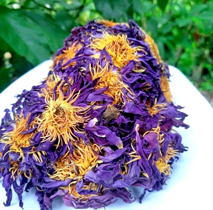 Dried Blue Lotus Flower Nymphaea Caerulea Natural Hand Picked Flower Herbal Tea*