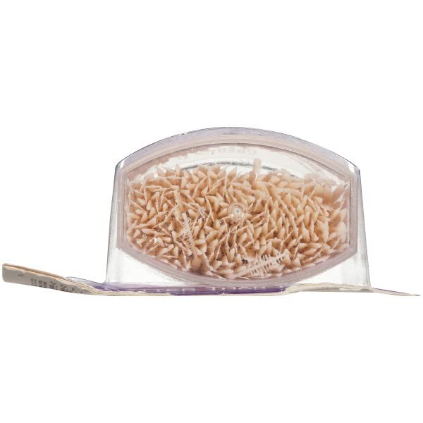 The Doctor's BrushPicks Toothpicks, 275 Picks Per Pack 275 Count (Pack of 2) gallery