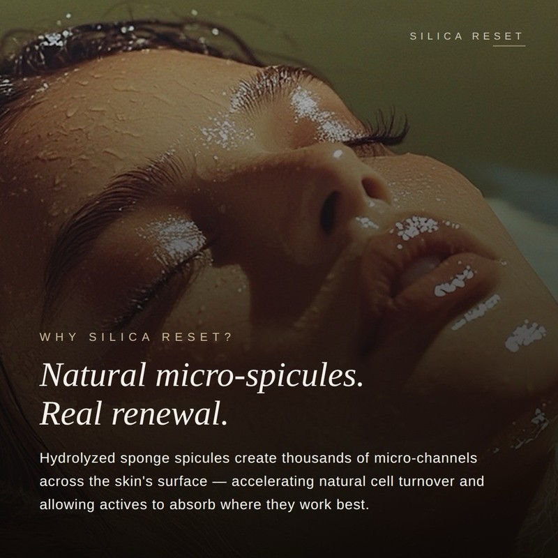 At home liquid microneedling kit silica spicule - antiwinkle, acne, scar, renew gallery