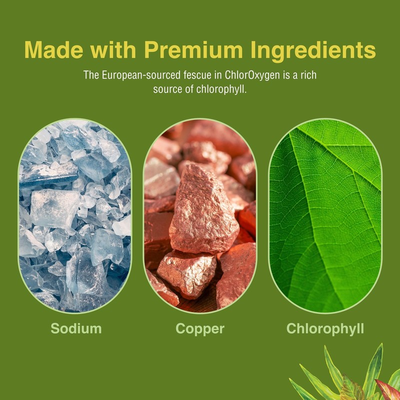 Herbs Etc. ChlorOxygen Chlorophyll Concentrate - Aids Healthy Blood Circulat... gallery