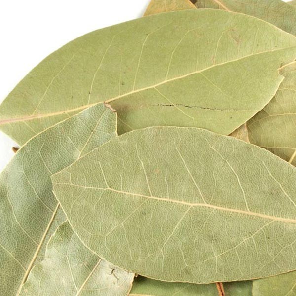 WholeSALE!! ORGANIC Bay Leaf Turkish PREMIUM Dried Whole-4 oz, 1, 2, 5 lbs.