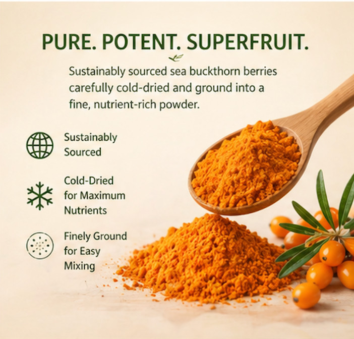 4oz Sea Buckthorn Powder Organic Super fruit | Rich in Omega-7 Vitamin C gallery