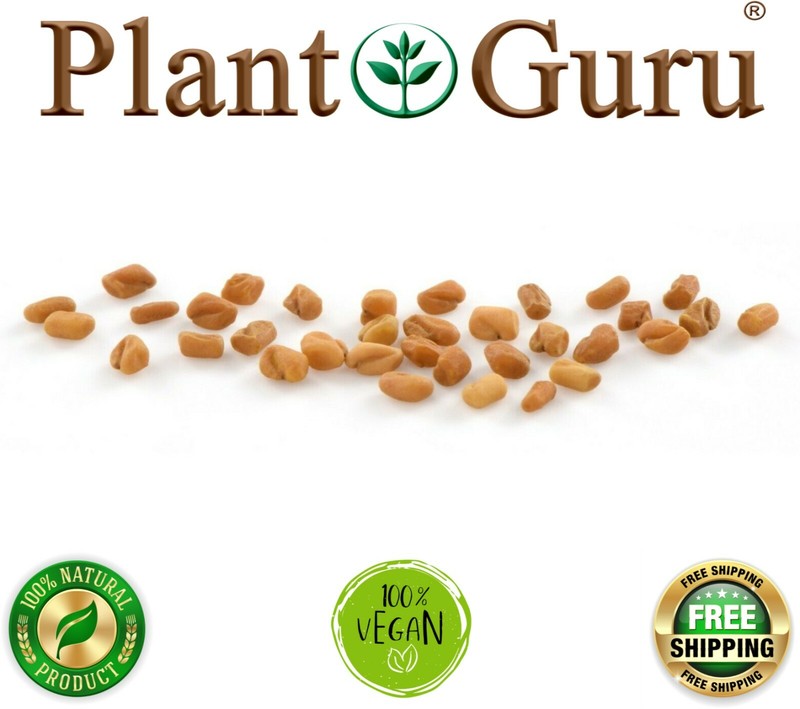 Fenugreek Seeds Non-GMO Trigonella Foenum Graecum Whole Methi Seed Bulk gallery