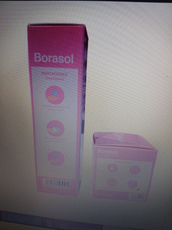 borasol gallery