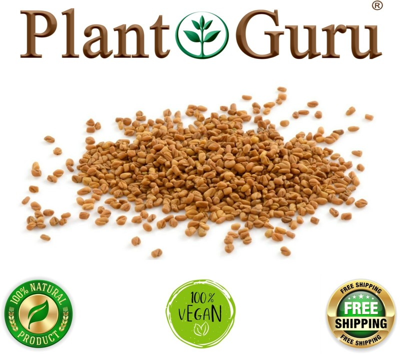 Fenugreek Seeds Non-GMO Trigonella Foenum Graecum Whole Methi Seed Bulk gallery