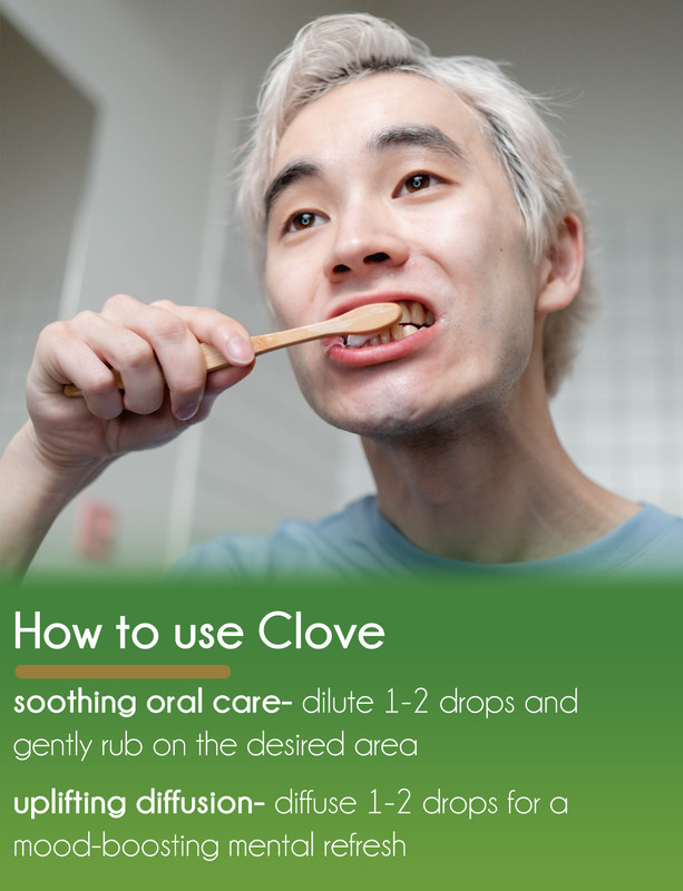 Clove Bud Essential Oil 100% Pure Free Shipping gallery