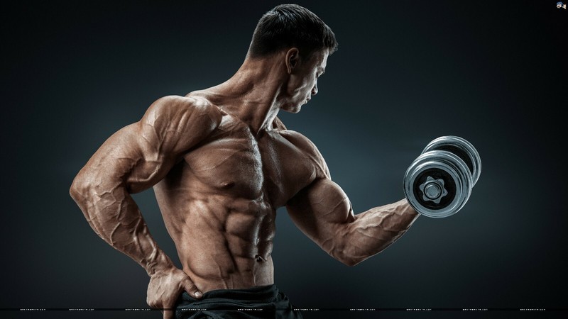 muscle increase supplement - BCAA 3000MG - leucine protein powder 3B gallery