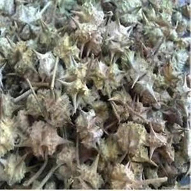 Safed Musli Kaunch Beej Ashwagandha Shatavari Gokhru Akarkara Whole Herbs gallery