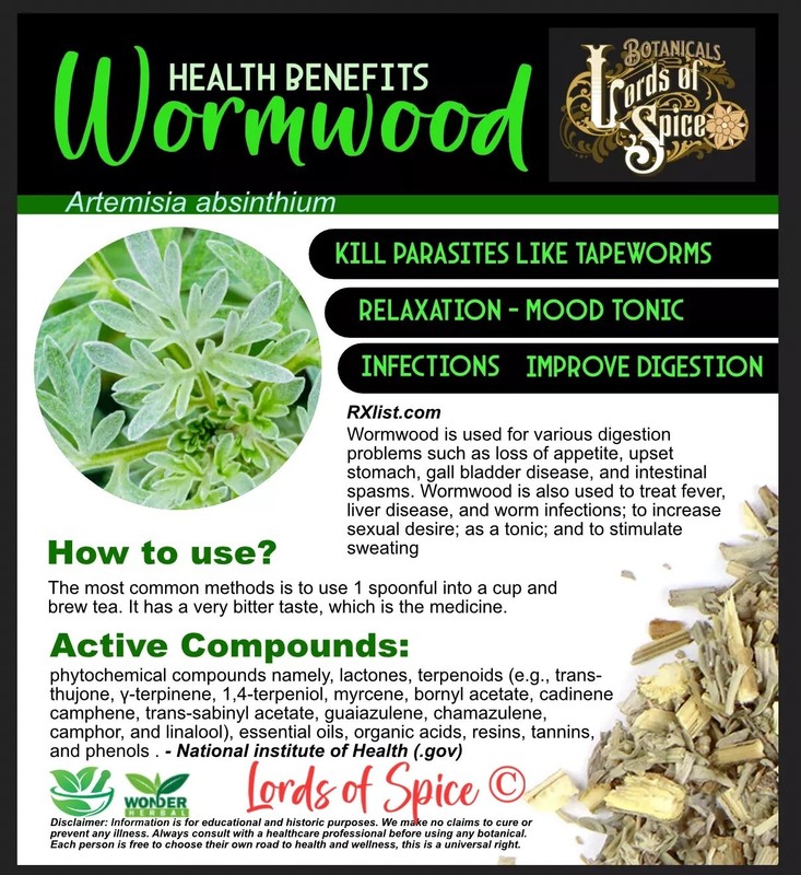 Wormwood Herb Dried Artemisia Absinthium Premium Fast Ship 10g USA! gallery
