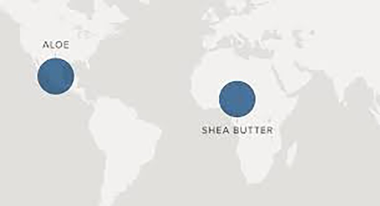 Shea/Aloe Body Butter Moisturizer for Dry Skin Eczema Psoriasis Acne Diaper Rash gallery