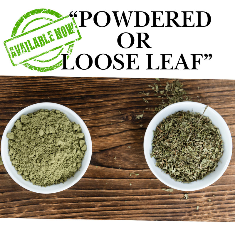 Horehound Herb or Powder| Organic Natural Lung & Throat Support | 1/4/8 oz gallery