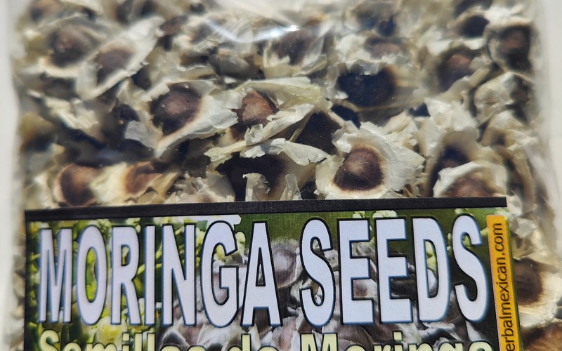 Semillas de Moringa, Moringa Seeds, Moringa oleifera Seeds, Organic moringa Seed gallery