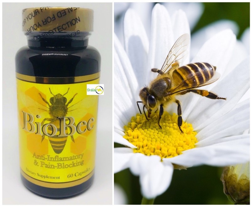 BIOBEE Anti-inflamatory Bee Therapy Extracts Arthritis Pain Abeemed Miracle