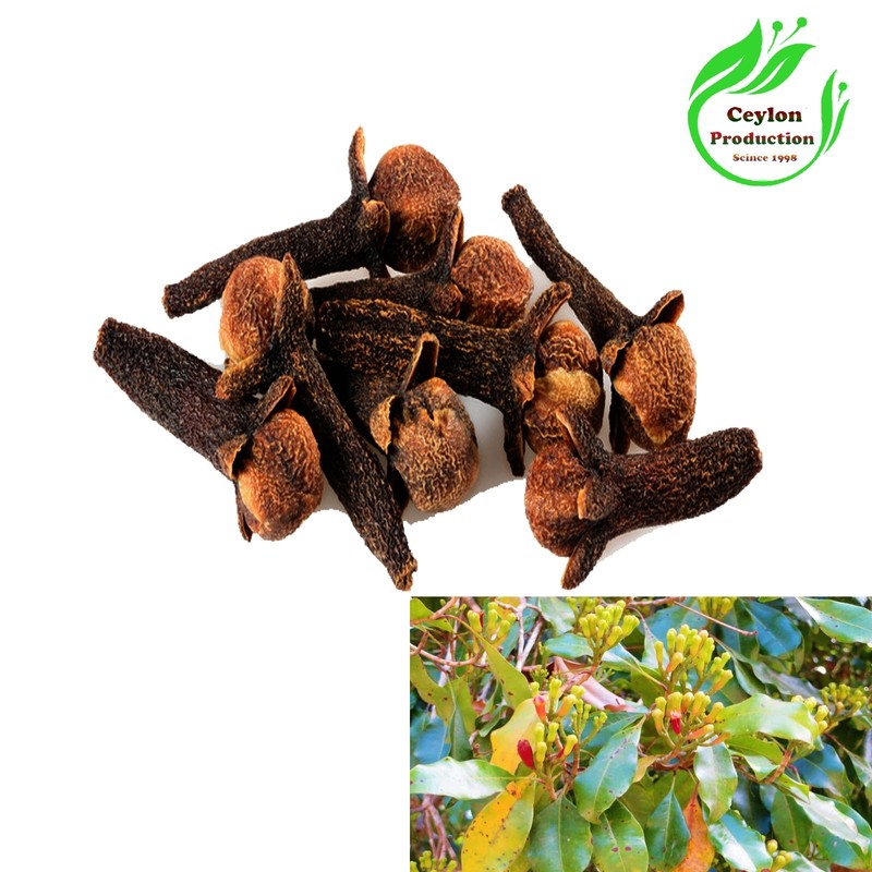 Clove Buds whole Sun Dried Organic Spices Syzygium aromaticum pumpkin spice