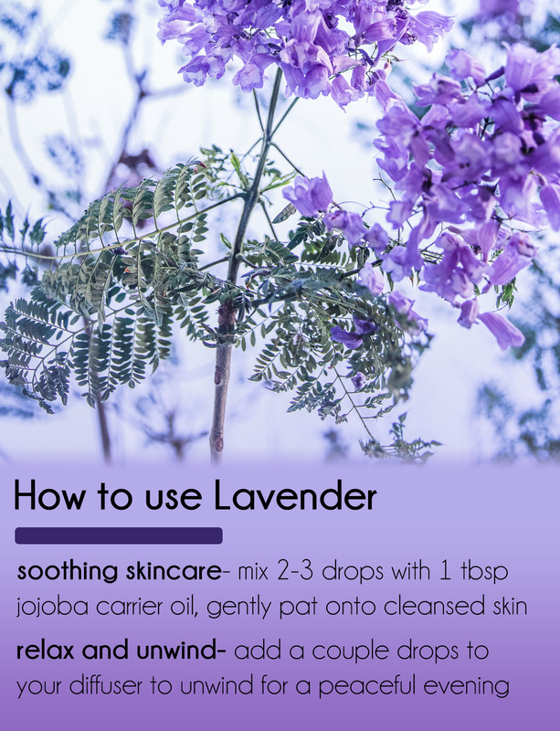 32 fl oz Lavender 40/42 Essential Oil (100% Pure & Natural) in Aluminum Bottle gallery
