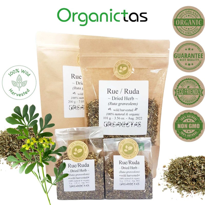 Rue Herb of Grace Dried Ruta Graveolens for Herbal Tea Many Benefits and Uses