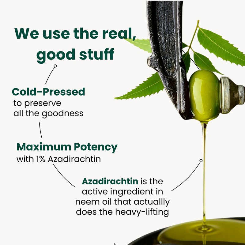 The Green Alcove Neem Oil For Plants Makes 30 Bottles Spray Bottle Essential gallery